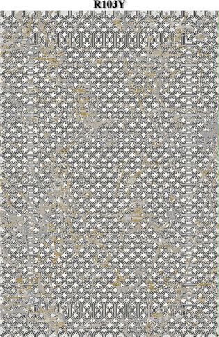 R103Y